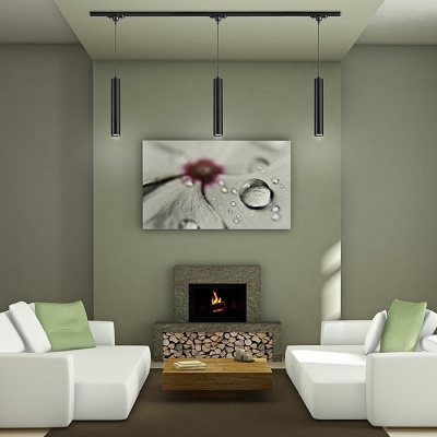 Трековые светильники Novotech Pipe 370401  фото, kupilegko.ru