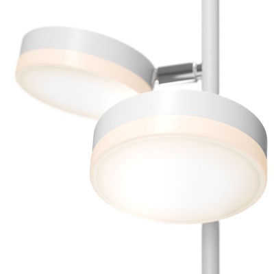 Торшер Maytoni Fad MOD070FL-L12W3K  фото, kupilegko.ru