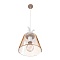 Подвесной светильник Loft IT Wildlife Loft1807