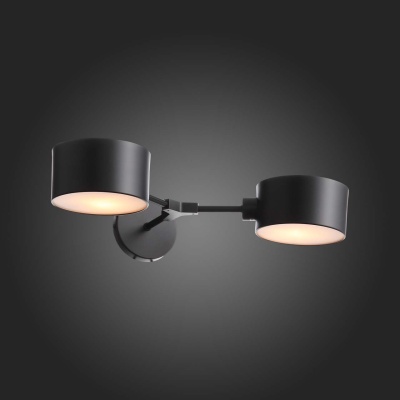 Бра, светильник настенный накладной Evoluce SLE183401-02  фото, kupilegko.ru