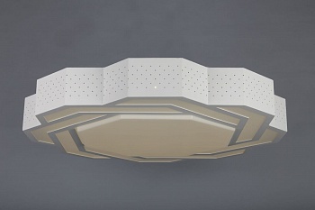 Потолочный светодиодный светильник Omnilux OML-43607-59  фото, kupilegko.ru