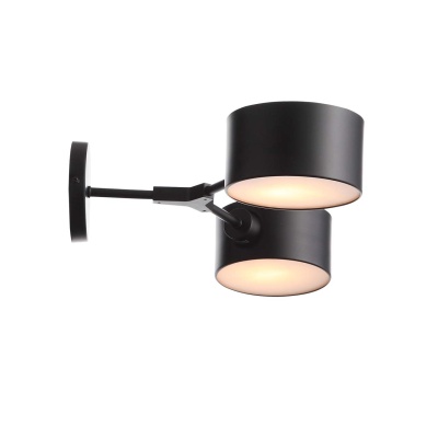 Бра, светильник настенный накладной Evoluce SLE183401-02  фото, kupilegko.ru