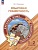 Языковая грамотность. Русский язык. Развитие. Диагностика. 1-2 классы. Кузнецова М.И.  фото, kupilegko.ru