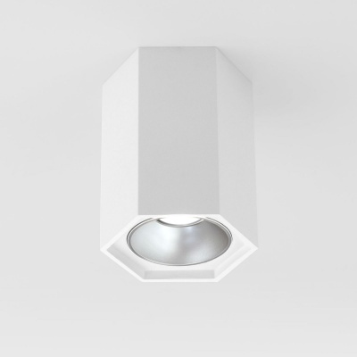 Потолочный светодиодный светильник Elektrostandard 25036/Led 4690389176487  фото, kupilegko.ru