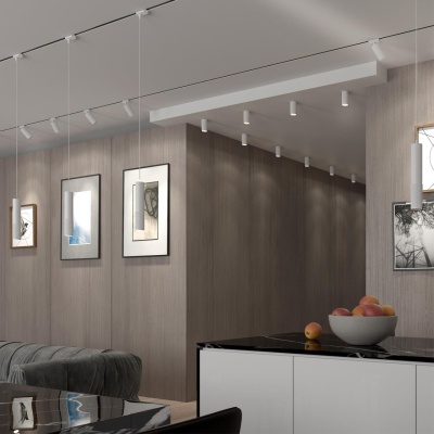 Трековый светильник Novotech Port Mais 370770  фото, kupilegko.ru