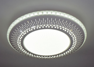 Потолочный светодиодный светильник Escada 10213/1LED  фото, kupilegko.ru