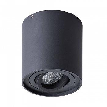 Потолочный светильник Arte Lamp Galopin A1460PL-1BK  фото, kupilegko.ru