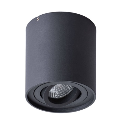 Потолочный светильник Arte Lamp Galopin A1460PL-1BK  фото, kupilegko.ru