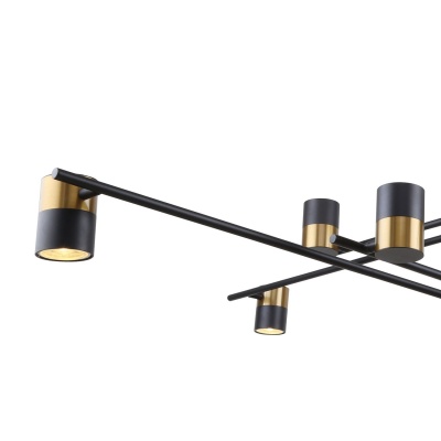 Подвесная люстра F-Promo Chart 3092-10P  фото, kupilegko.ru