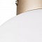 Настенно-потолочный светильник Lightstar Globo 812023