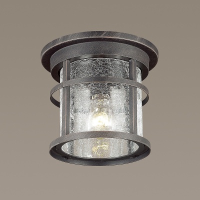 Уличные потолочные Odeon Light Virta 4044/1C  фото, kupilegko.ru