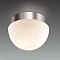Потолочный светильник Odeon Light Minkar 2443/1A