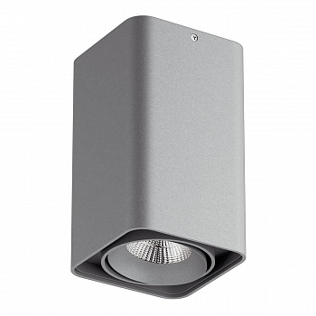 Потолочный светодиодный светильник Lightstar Monocco 052139  фото, kupilegko.ru