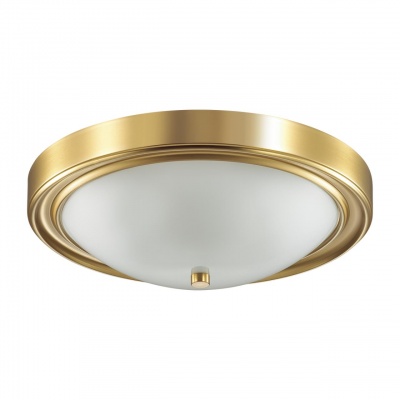 Настенно-потолочный светильник Lumion Nina 5259/3C  фото, kupilegko.ru