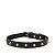 Smooth Spike Gold Noir Ошейник для собак L Nice Digs  фото, kupilegko.ru