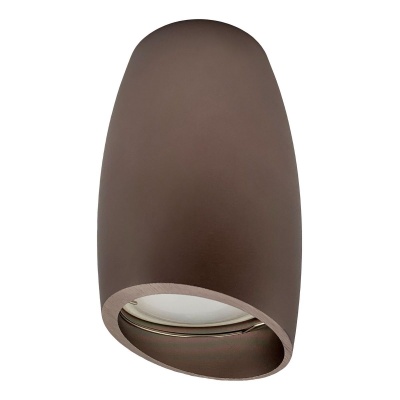 Потолочный светильник Escada 20006SMU/01 CF  фото, kupilegko.ru