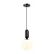 Подвесной светильник Odeon Light Okia 4668/1