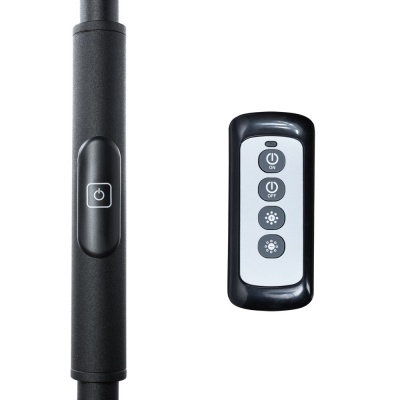 Торшер Arte Lamp Sceptrum A1822PN-1BK  фото, kupilegko.ru