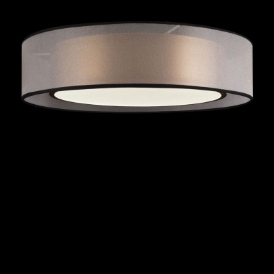 Потолочный светодиодный светильник Freya Zoticus FR6005CL-L36G  фото, kupilegko.ru
