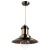 Подвесной светильник Arte Lamp Fisherman A5530SP-1AB  фото, kupilegko.ru