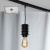 Трековые светильники Lussole Track Lights LSP-9920-TAW  фото, kupilegko.ru