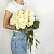 Букет из высоких белых роз Эквадор 35 шт. (70 см)  фото, kupilegko.ru