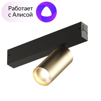 Трековый светодиодный светильник Denkirs Smart Spot DK8010-BG  фото, kupilegko.ru