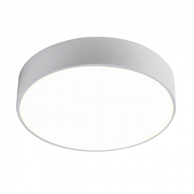 Потолочный светодиодный светильник Favourite Flashled 2065-24C  фото, kupilegko.ru