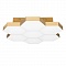 Потолочный светодиодный светильник Lightstar Favo 750071