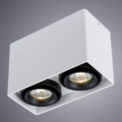 Потолочный светильник Arte Lamp A5655PL-2WH  фото, kupilegko.ru