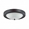 Настенно-потолочный светильник Lumion Nina 5260/2C