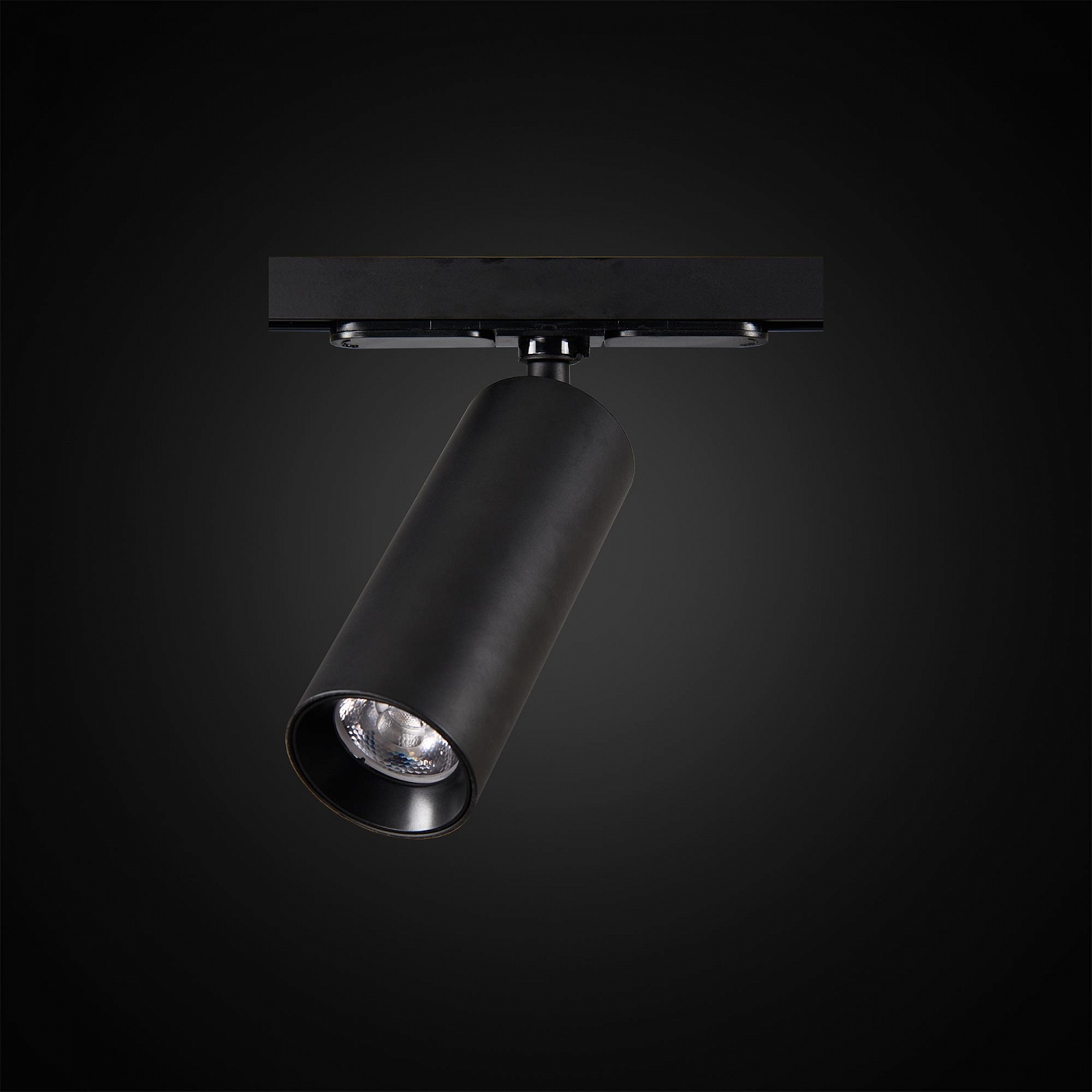 Трековые светильники Citilux Тубус CL01T121  фото, kupilegko.ru