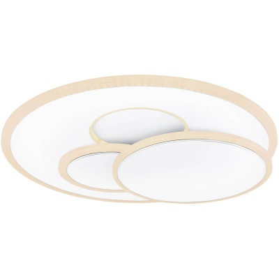 Потолочный светодиодный светильник Globo Tarabina 48279-48  фото, kupilegko.ru