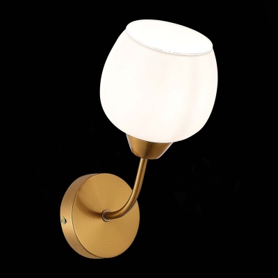 Бра, светильник настенный накладной Evoluce SLE1136-301-01  фото, kupilegko.ru