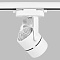 Трековый светильник Ambrella light Track System GL5101  фото, kupilegko.ru