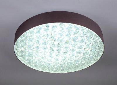 Потолочный светодиодный светильник Escada 10246/1LED  фото, kupilegko.ru