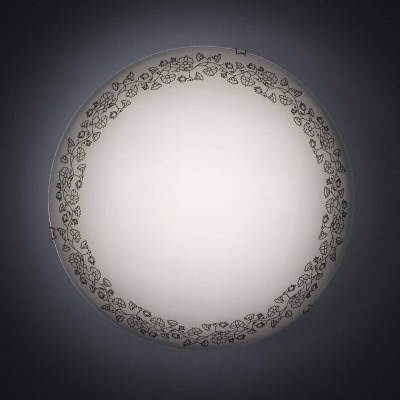 Настенный светильник Citilux Вьюнок CL917010  фото, kupilegko.ru