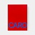 Anthony Caro Книга Phaidon  фото, kupilegko.ru