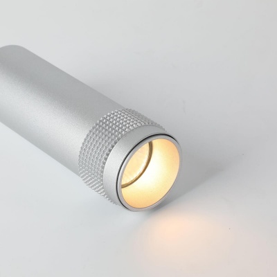 Потолочный светильник Favourite Kinescope 2454-1C  фото, kupilegko.ru