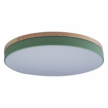 Потолочный светодиодный светильник Loft IT Axel 10001/36 green  фото, kupilegko.ru