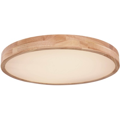 Потолочный светодиодный светильник Globo Rainer 41745-48  фото, kupilegko.ru