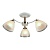 Потолочная люстра IMEX MD.1092-3-S WH+FGD  фото, kupilegko.ru