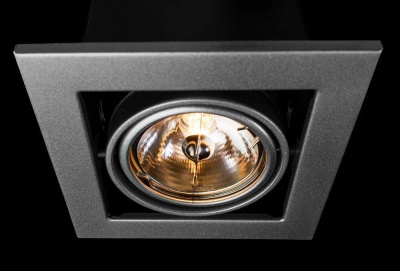 Встраиваемый светильник Arte Lamp Technika A5930PL-1SI  фото, kupilegko.ru