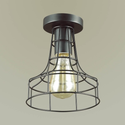 Потолочный светильник Lumion Alfred 3639/1C  фото, kupilegko.ru