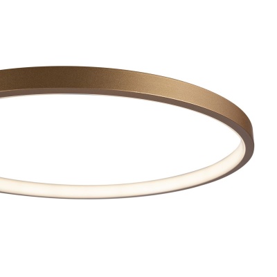 Потолочный светодиодный светильник Freya Crate FR10014CL-L63G  фото, kupilegko.ru