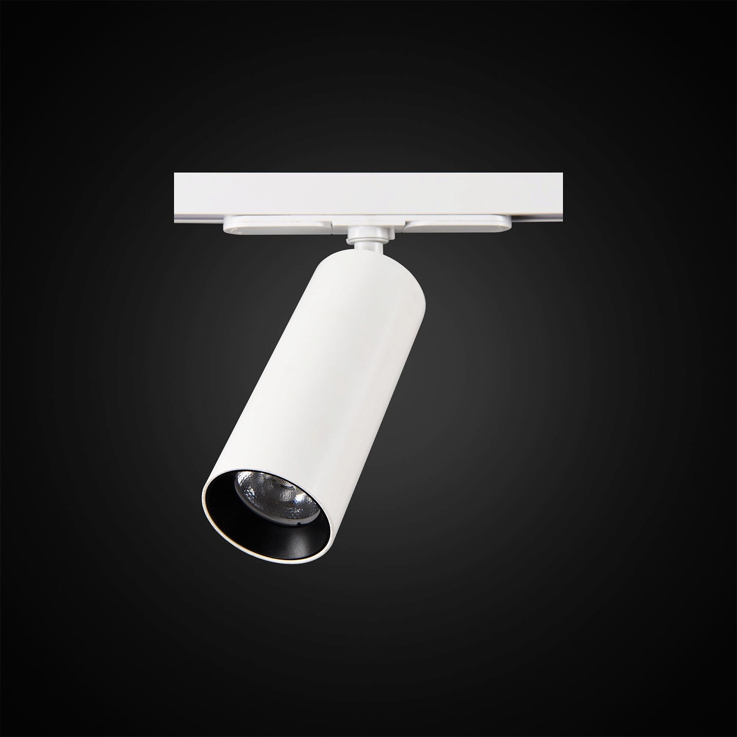 Трековые светильники Citilux Тубус CL01T120  фото, kupilegko.ru