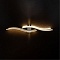 Бра, светодиодный светильник настенный накладной Arte Lamp A2216AP-1WH  фото, kupilegko.ru