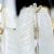 Подвесная люстра Arte Lamp Evie A4052SP-12SG  фото, kupilegko.ru