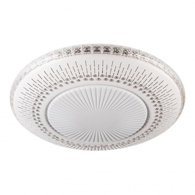 Потолочный светодиодный светильник Escada 10213/1LED  фото, kupilegko.ru