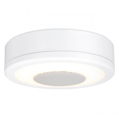 Потолочный светодиодный светильник Paulmann LightSound 92096  фото, kupilegko.ru